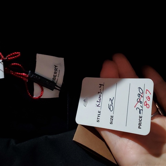 Sz 52 NWT $2890 Burberry men's coat - Picture 3 of 9